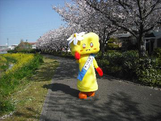 健康の道　春