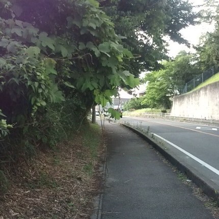 写真1