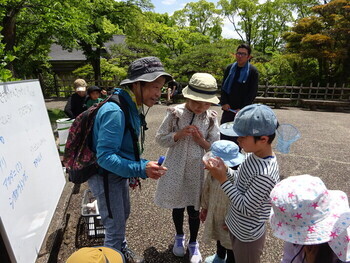 いきもの観察会のまとめをする様子