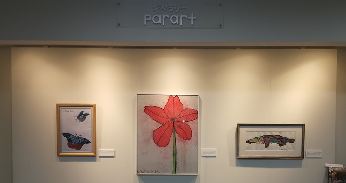 展示写真