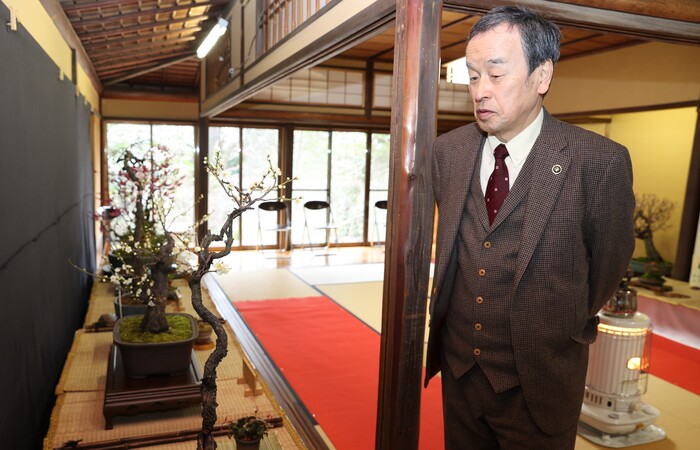 盆梅展の会場の様子
