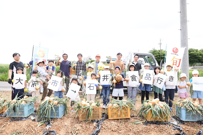 タマネギ圃場集合写真