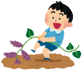 さつまいもを畑から引き抜く子どものイラストです。
